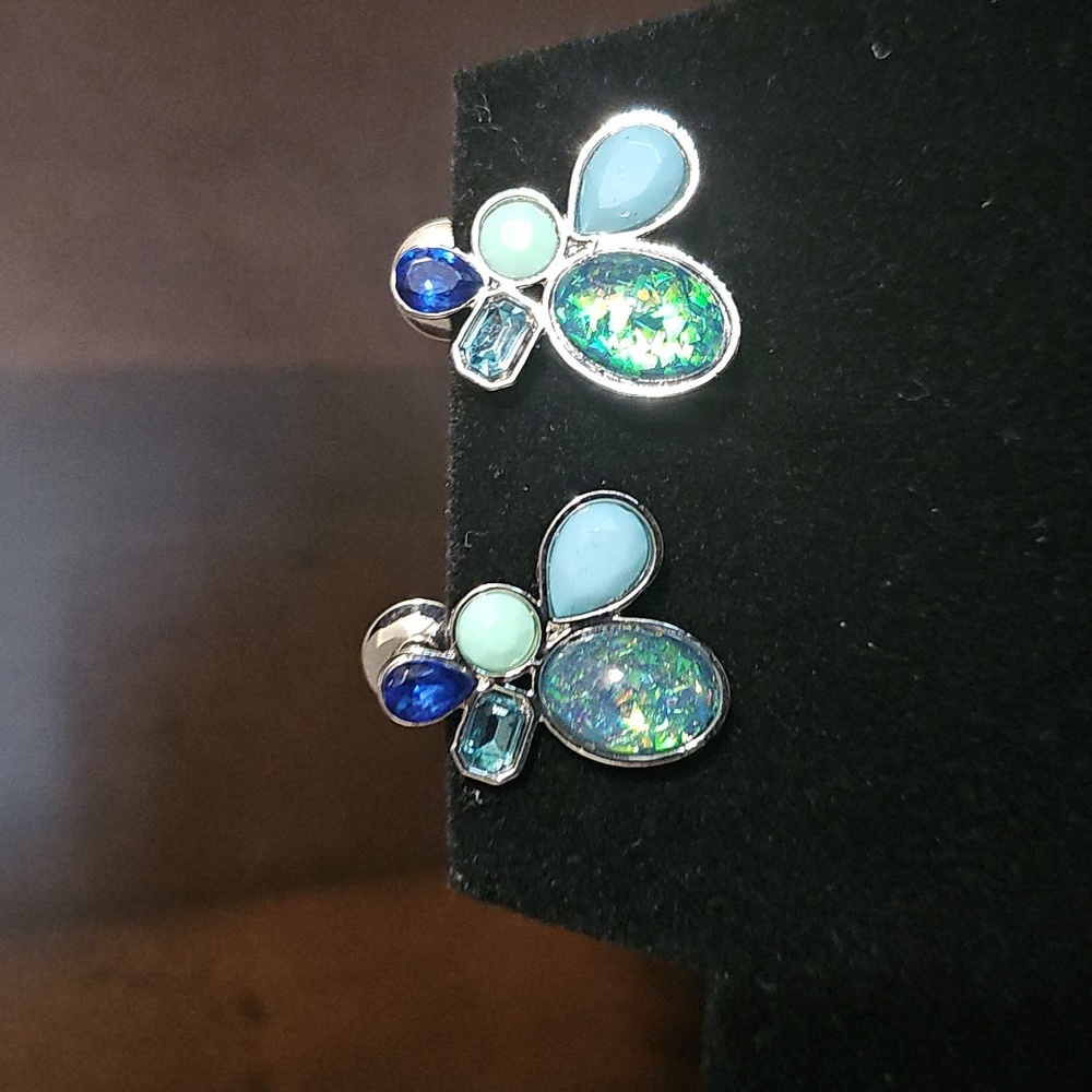 Sassy Jones Earrings (never worn)